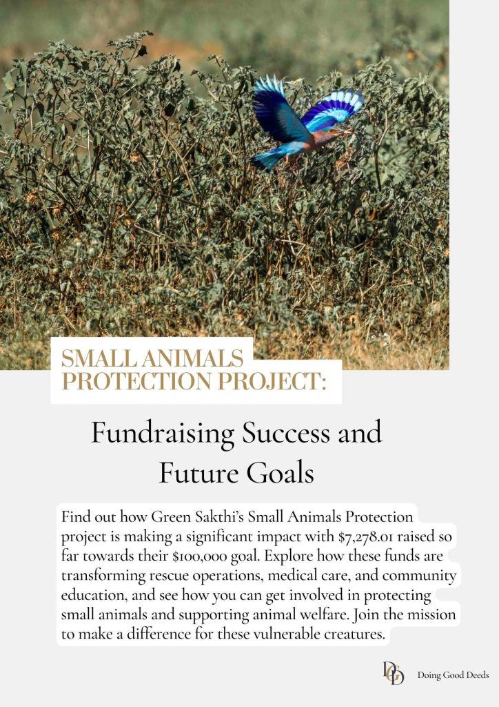 Small animals protection, fundraising, animal welfare